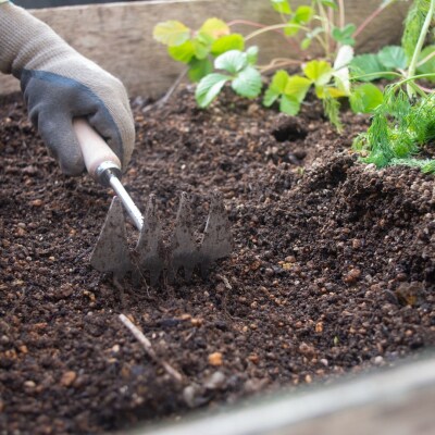 GATO(ガトー) ガーデニング用熊手 [浅野木工所] 【010S460】