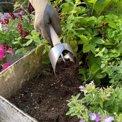 マルチゴテ 野菜や花の苗の植え付けに [浅野木工所] 【017S062】