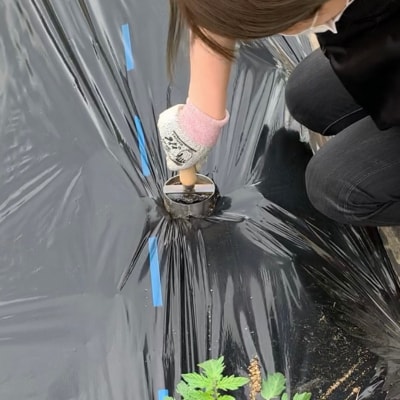 マルチゴテ 野菜や花の苗の植え付けに [浅野木工所] 【017S062】