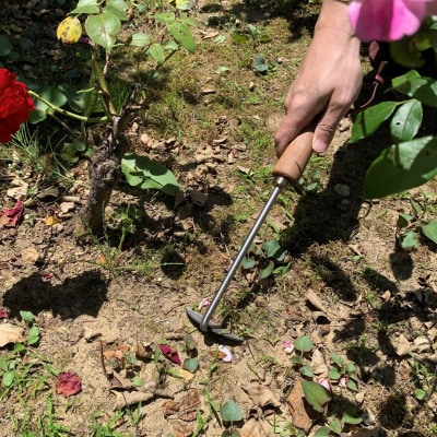 オニオンホー 首が長い鎌  [浅野木工所] 【010S461】