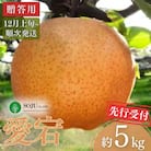 先行受付 和梨 愛宕 約5kg 贈答用 [12月上旬から発送予定] 【016P024】
