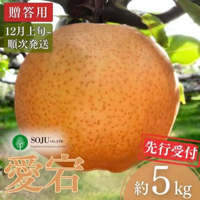 先行受付 和梨 愛宕 約5kg 贈答用 [12月上旬から発送予定] 【016P024】
