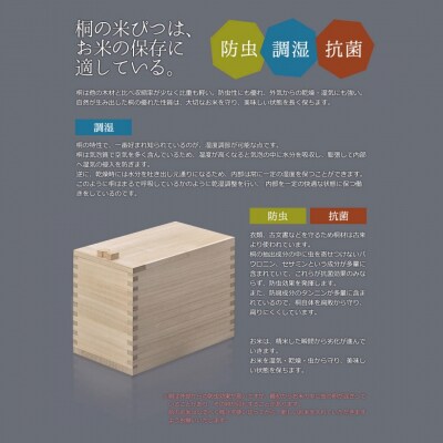 桐米びつ 5kg用 調湿性 防虫・抗菌性 桐 5キロ用 米櫃 燕三条の職人手作り【055S014】