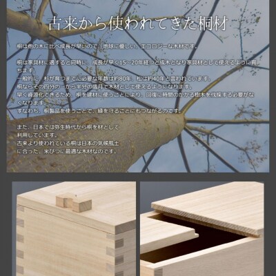 桐米びつ 5kg用 調湿性 防虫・抗菌性 桐 5キロ用 米櫃 燕三条の職人手作り【055S014】