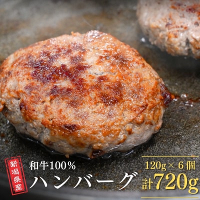 新潟県産和牛100%ハンバーグ 6コ入り ハンバーグ 挽肉ステーキ つなぎ無し 【018S052】
