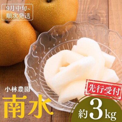 先行受付 和梨 南水 約3kg [9月中旬から発送予定] 新潟県産 [小林農園] 【012S040】