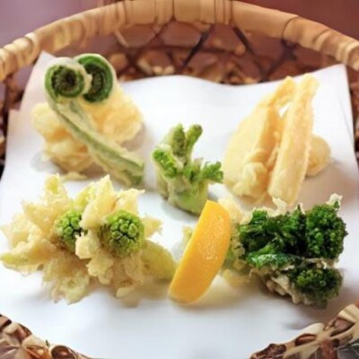 先行受付 おまかせ天然山菜セット(3～4種500g) [4月上旬から順次発送予定]【020S069】