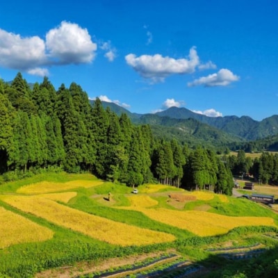 [数量限定] 棚田米 米ぬか栽培コシヒカリ5kg 新潟県 三条市 【014S086】