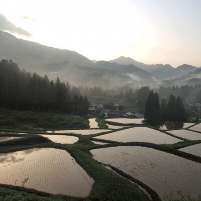 [数量限定] 棚田米 米ぬか栽培コシヒカリ5kg 新潟県 三条市 【014S086】