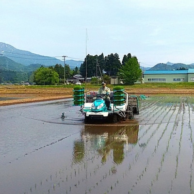先行受付 コシヒカリ定期便10kg(5kg×2袋)×6回 新潟県 三条市 【120S004】