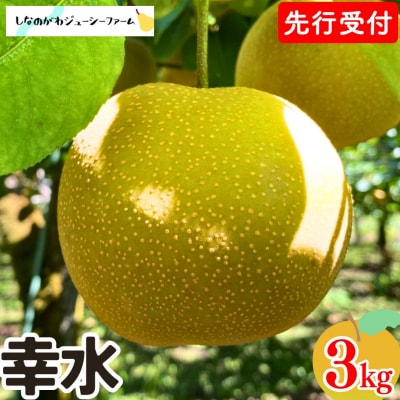 先行受付 和梨 幸水 約3kg 令和8年度 しなのがわジューシーファーム 【010S476】