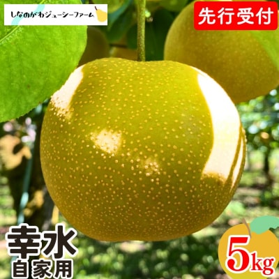 先行受付 和梨 幸水 自家用 約5kg 令和8年度 しなのがわジューシーファーム 【010S478】