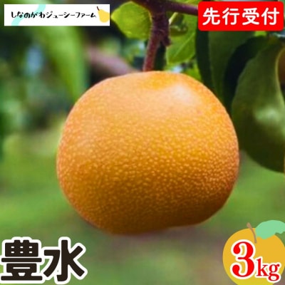 ��s��t �a�� �L�� ��3kg �ߘa8�N�x ���Ȃ̂���W���[�V�[�t�@�[�� �y010S479�z