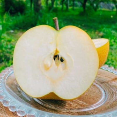 先行受付 和梨 豊水 約5kg  令和8年度 しなのがわジューシーファーム 【015S132】