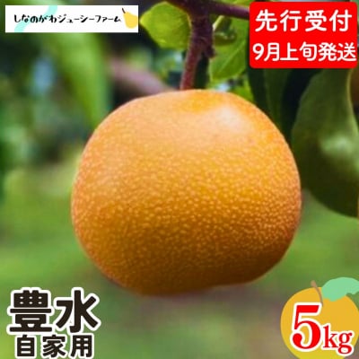 先行受付 和梨 豊水 自家用 約5kg しなのがわジューシーファーム 【010S481】