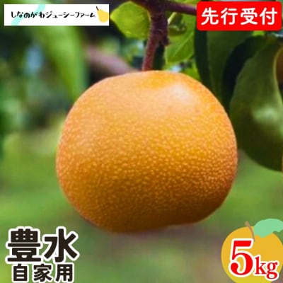 先行受付 和梨 豊水 自家用 約5kg 令和8年度 しなのがわジューシーファーム 【010S481】