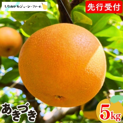 先行受付 和梨 あきづき 約5kg 令和8年度 しなのがわジューシーファーム 【015S133】