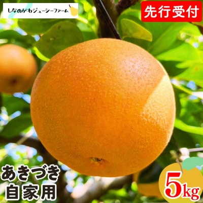 先行受付 和梨 あきづき 自家用 約5kg 令和8年度 しなのがわジューシーファーム 010S488