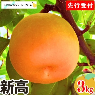 先行受付 和梨 新高 約3kg 令和8年度 しなのがわジューシーファーム 【010S489】
