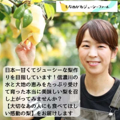 先行受付 和梨 新高 約3kg 令和8年度 しなのがわジューシーファーム 【010S489】