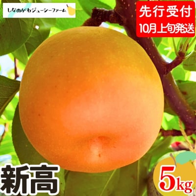 先行受付 和梨 新高 約5kg しなのがわジューシーファーム 【015S134】