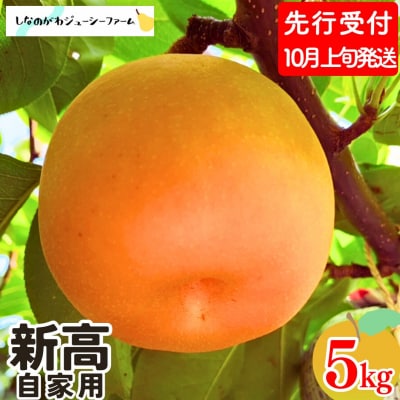 先行受付 和梨 新高 自家用 約5kg しなのがわジューシーファーム 【010S491】