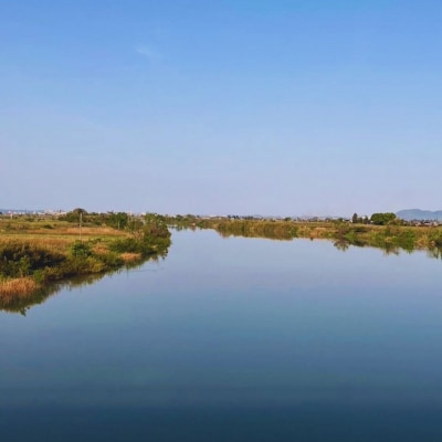 先行受付 和梨 新高 自家用 約5kg 令和8年度 しなのがわジューシーファーム 【010S491】