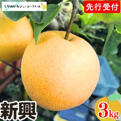 [2026�N�Y��s��t] �a�� �V�� ��3kg �ߘa8�N�x �V���� �O���s�Y �� �y010S492�z