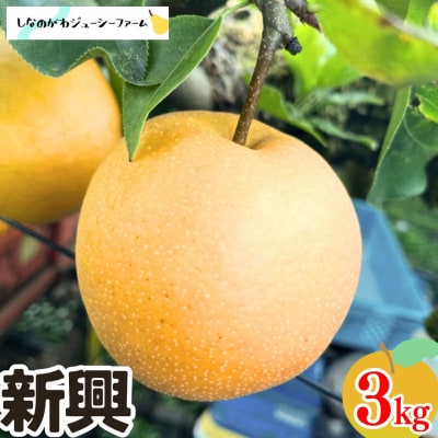 和梨 新興 約3kg しなのがわジューシーファーム 【010S492】
