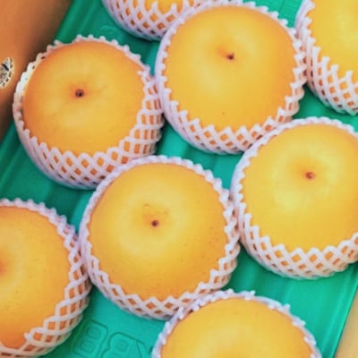 和梨 新興 約3kg しなのがわジューシーファーム 【010S492】