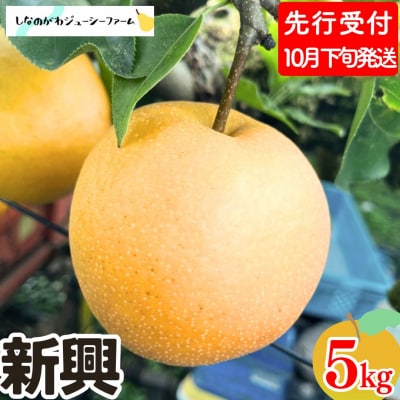 先行受付 和梨 新興 約5kg しなのがわジューシーファーム 【015S135】