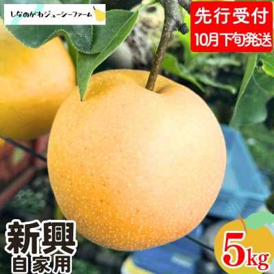 先行受付 和梨 新興 自家用 約5kg しなのがわジューシーファーム 【010S494】