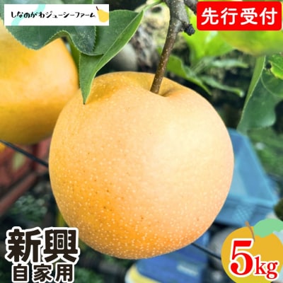 先行受付 和梨 新興 自家用 約5kg 令和8年度 しなのがわジューシーファーム 【010S494】