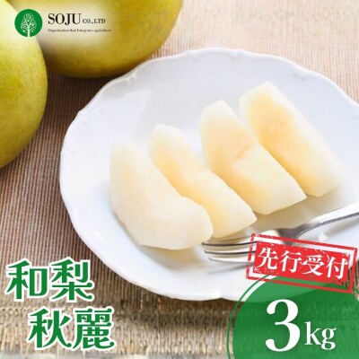 先行受付 和梨 秋麗 約3kg 令和8年産 新潟県 三条市産 【010S496】
