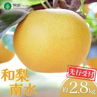 先行受付 和梨 南水 約2.8kg 令和8年産 新潟県 三条市産 【010S497】