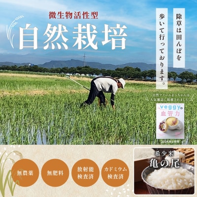 農薬化学肥料除草剤は不使用、自然栽培＆天日干し2022年産・朝日