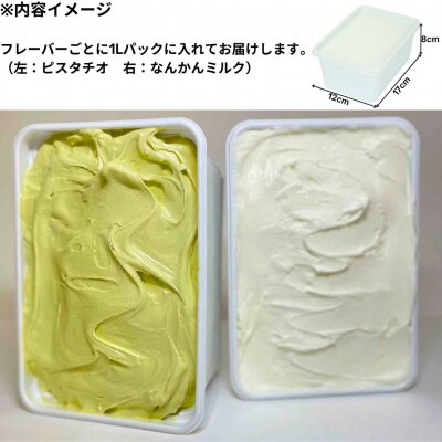 ジェラートマエストロが作るファミリーセット 1L×2 アルフォンソマンゴー　【017S111】