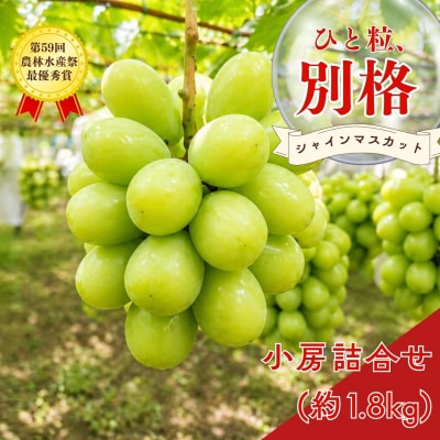 *先行予約* シャインマスカット 小房詰合せ 約600g×3 [2026年発送]【024S045】