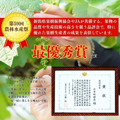 *先行予約* シャインマスカット 小房詰合せ 約600g×3 [2026年発送]【024S045】