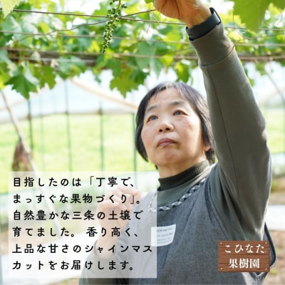 *先行予約* シャインマスカット 小房詰合せ 約600g×3 [2026年発送]【024S045】
