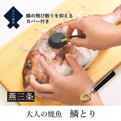 [大人の焼魚] 鱗とり 飛び散らない カバー付 うろこ取り 調理器具【011S238】