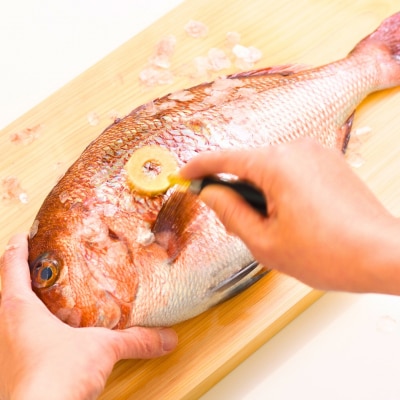 [大人の焼魚] 鱗とり 飛び散らない カバー付 うろこ取り 調理器具【011S238】