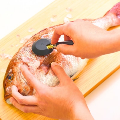 [大人の焼魚] 鱗とり 飛び散らない カバー付 うろこ取り 調理器具【011S238】