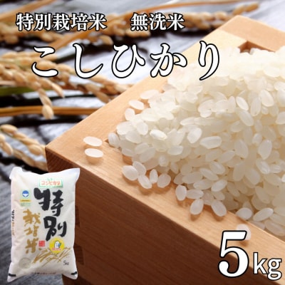 県認証 特別栽培米 コシヒカリ5kg 無洗米 令和7年産 新潟県三条市産 【011S193】
