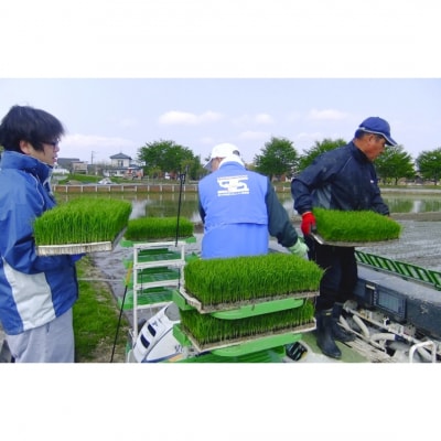 県認証 特別栽培米 コシヒカリ5kg 無洗米 令和7年産 新潟県三条市産 【011S193】