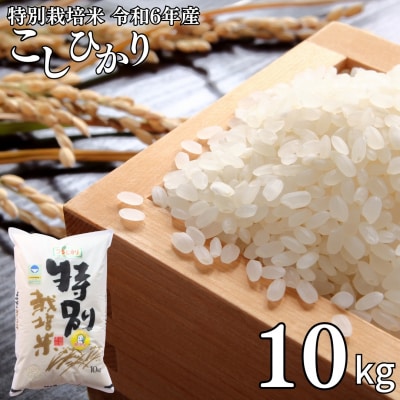 県認証 特別栽培米 コシヒカリ10kg 無洗米 令和7年産 新潟県三条市産【021S058】