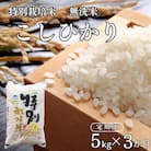 [定期便 5kg×3ヶ月] 県認証 特別栽培米 コシヒカリ 令和7年産 無洗米【031S022】