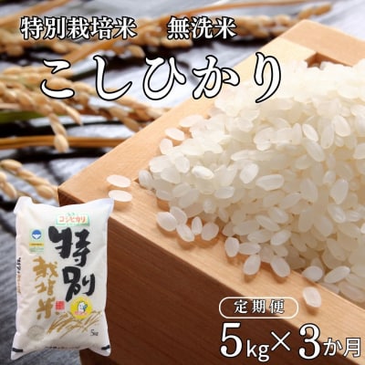 [定期便 5kg×3ヶ月] 県認証 特別栽培米 コシヒカリ 令和7年産 無洗米【031S022】