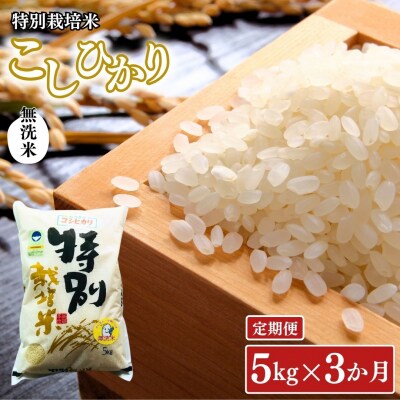 [定期便 5kg×3ヶ月] 県認証 特別栽培米 コシヒカリ 令和8年産 無洗米【031S022】