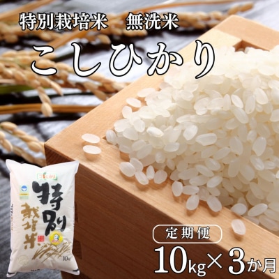 [定期便 10kg×3ヶ月] 県認証 特別栽培米 コシヒカリ 令和7年産 無洗米【061S009】
